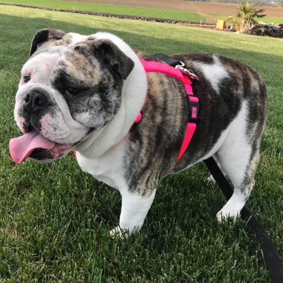 Meet your Posher, Matt - Picture 1 of 1